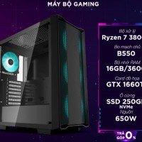 AMD 11