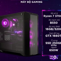 AMD 010